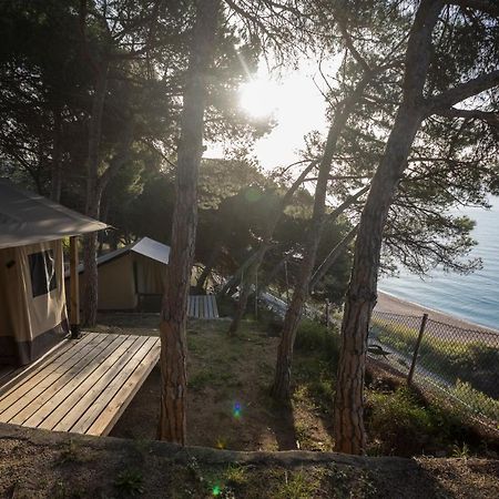 Camping Kanguro سان بول ذي مار المظهر الخارجي الصورة