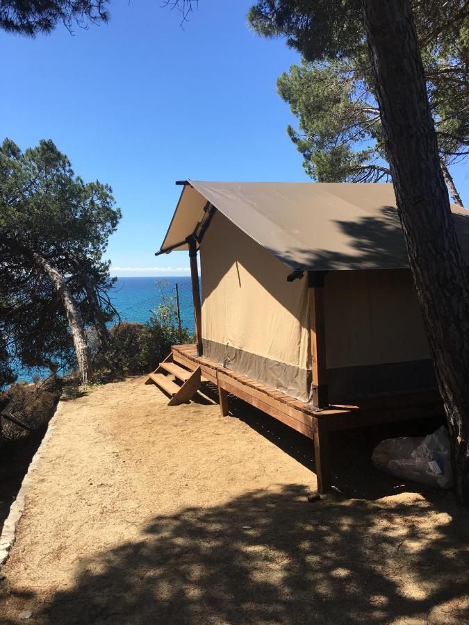Camping Kanguro سان بول ذي مار المظهر الخارجي الصورة