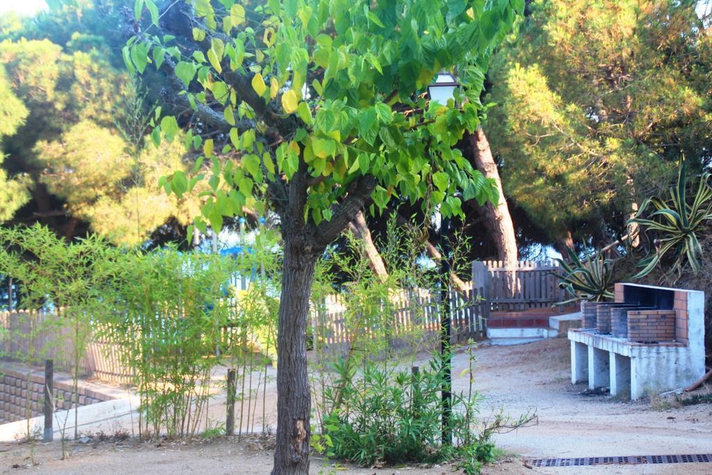 Camping Kanguro سان بول ذي مار المظهر الخارجي الصورة